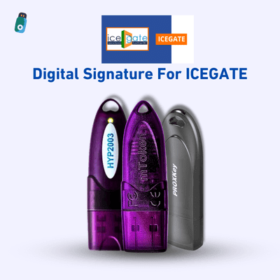 Digital Signature For pdf icegate, digitalsignaturespot.com